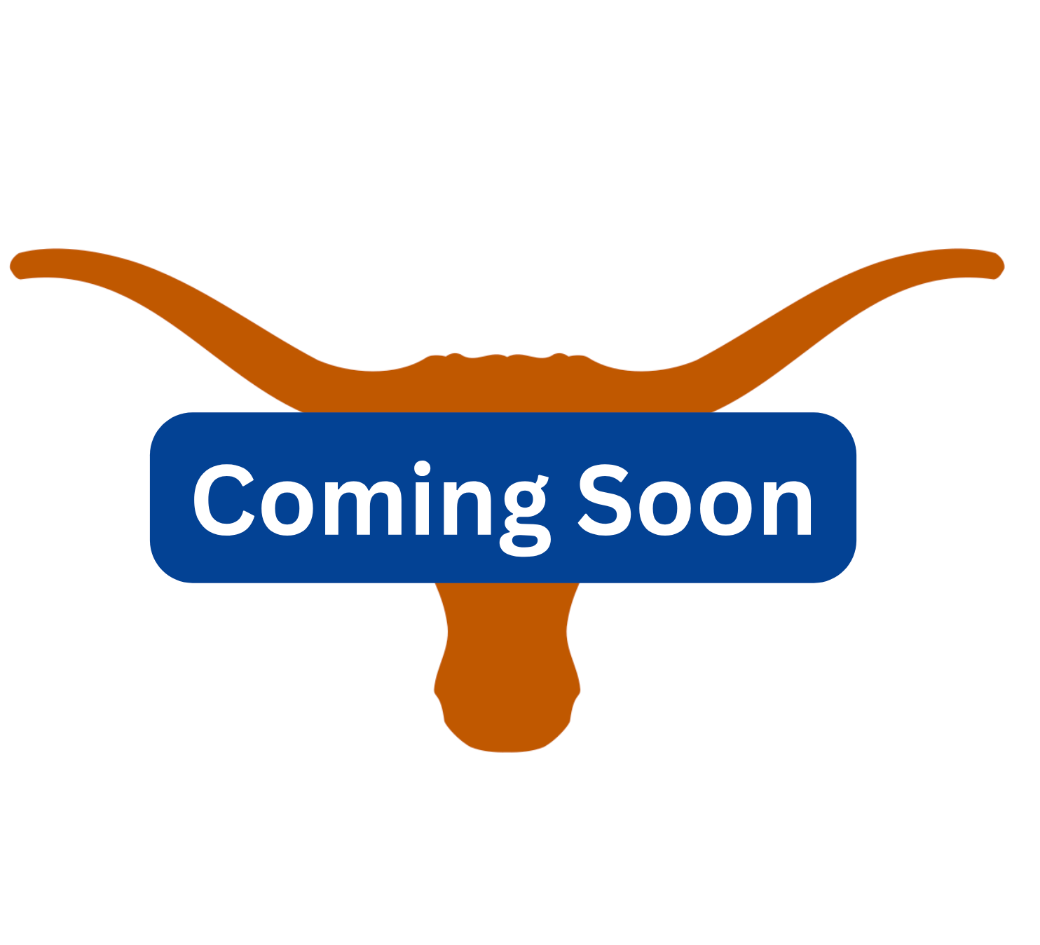 University of Texas - Austin