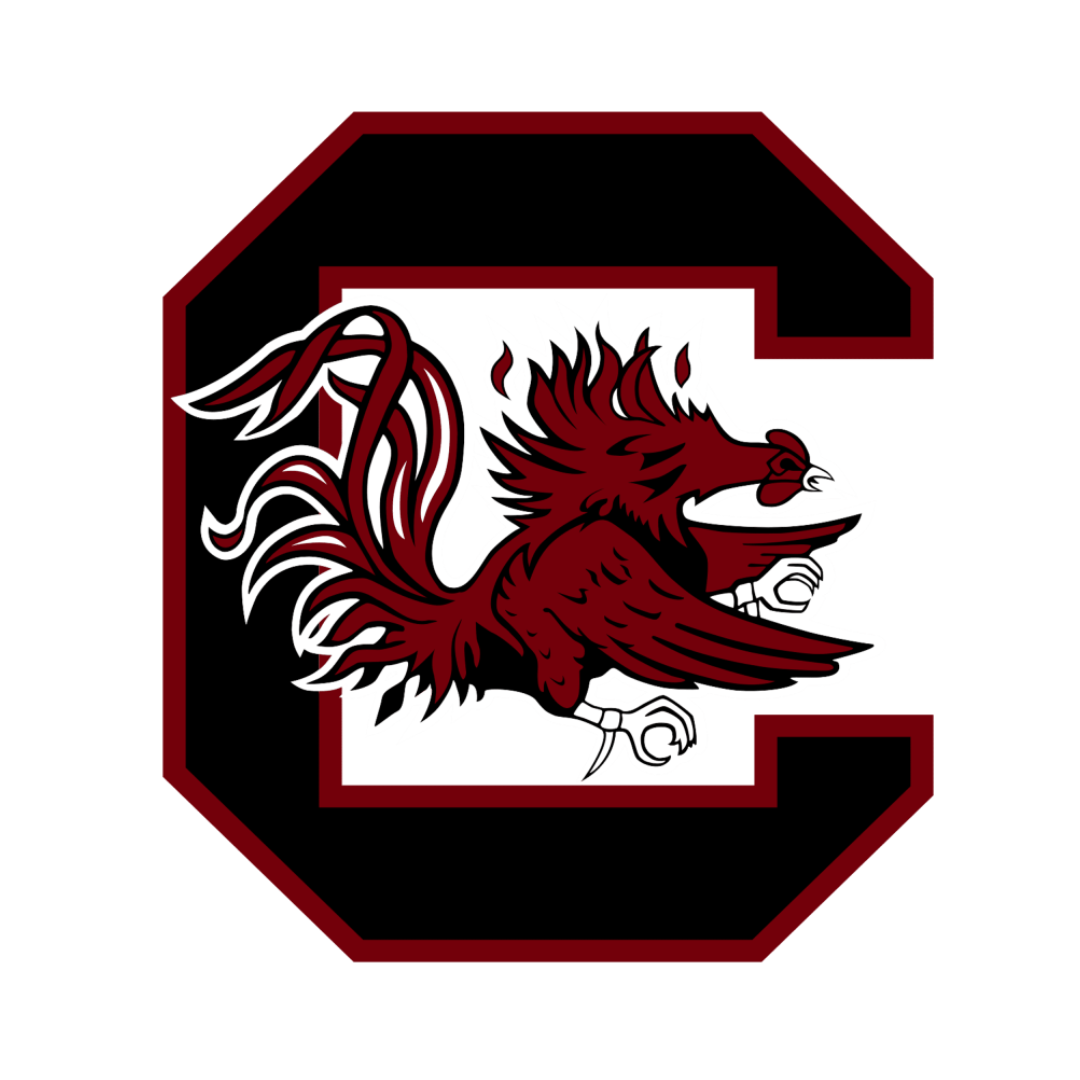 University of South Carolina